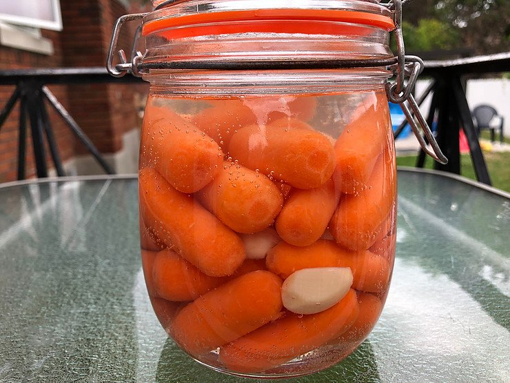 Cenourinha Fermentada