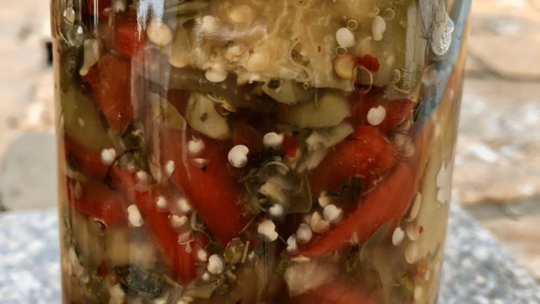 BERINGELAS LACTOFERMENTADAS