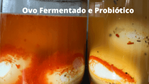 ovo fermentado