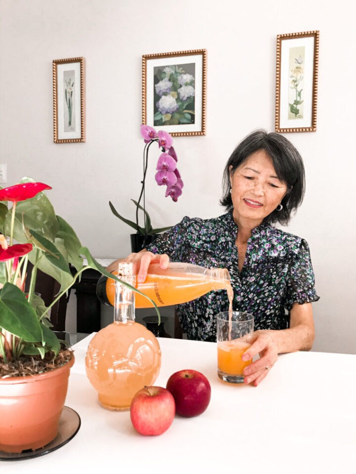 Kayoko Takeda Fermentado Probiótico