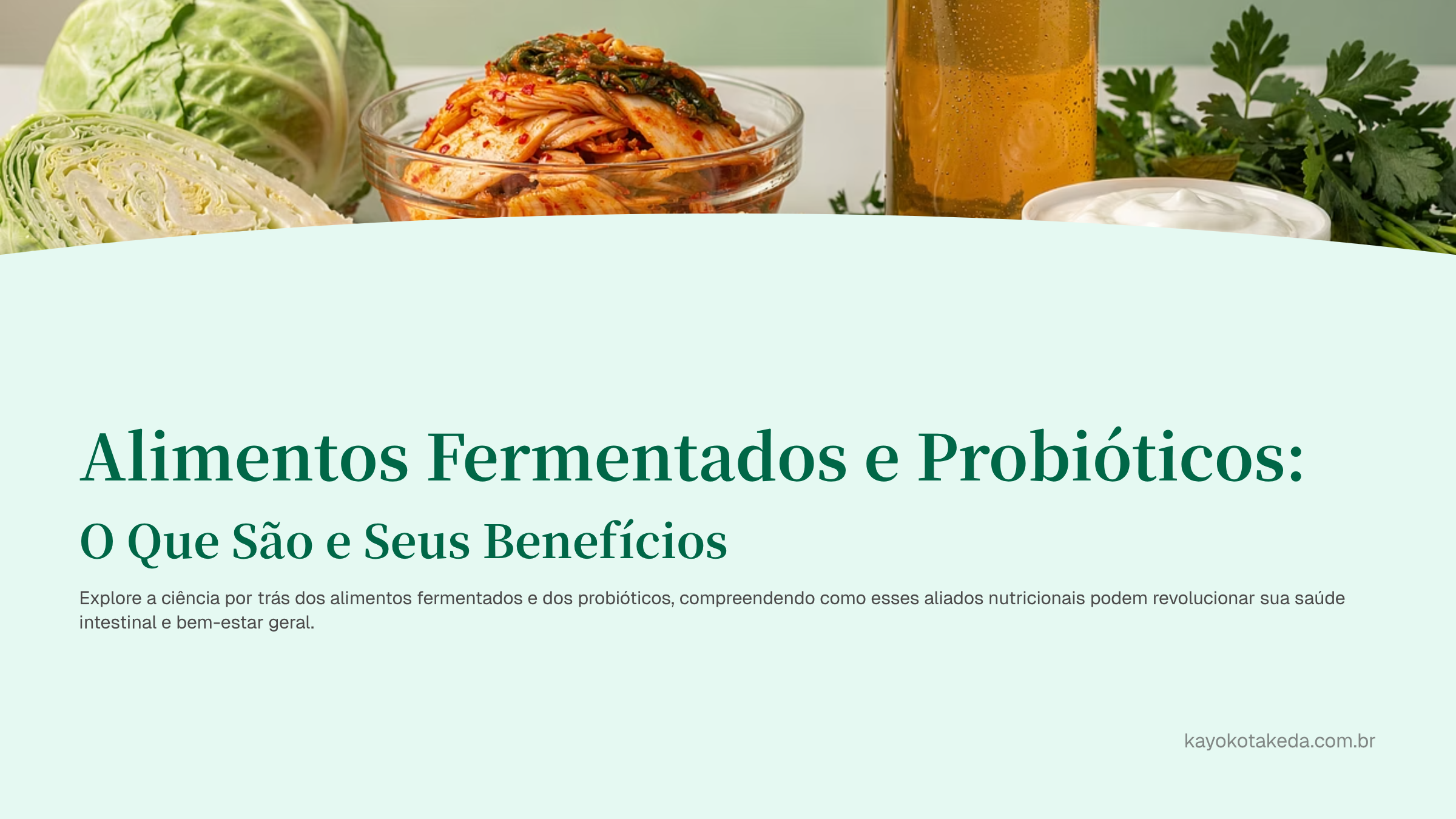 alimentos fermentados e probióticos