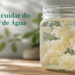 Como cuidar do Kefir de Água