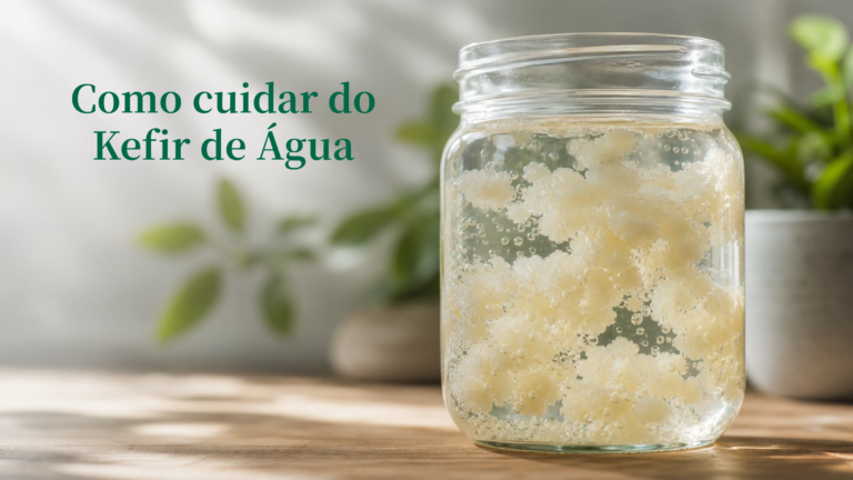 Como cuidar do Kefir de Água